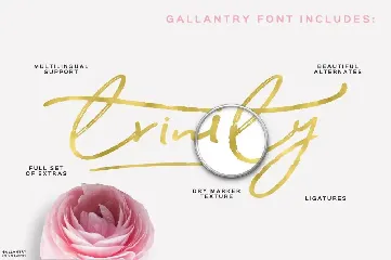 Gallantry Dry Marker Font