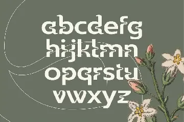 Wildhead Display Font