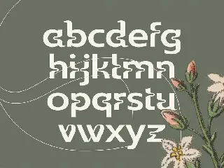 Wildhead Display Font