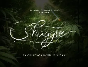 Shaggie font