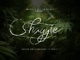 Shaggie font