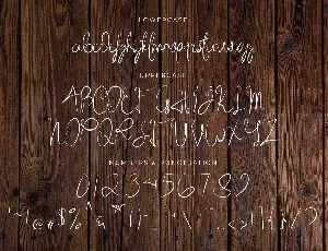 Medieval Times - Handwritten Script Font