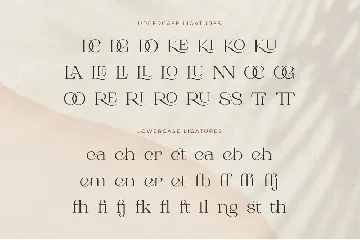 Roman Sophisticated Serif font