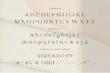 Roman Sophisticated Serif font