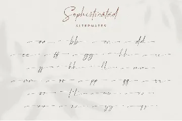 Sophisticated - Signature Font