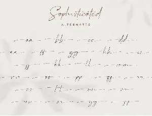 Sophisticated - Signature Font