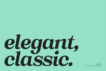 Macaw - Serif Typeface font