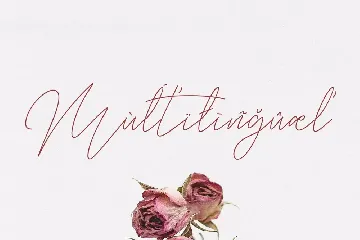 Balleys Beautiful Handwriting Script Font