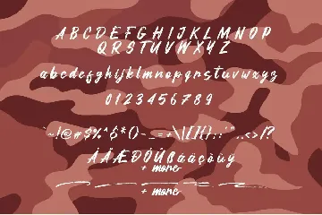 Qlusive font