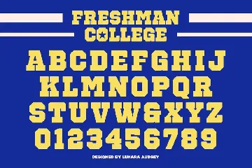 Freshman College font