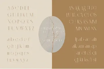 Cannia - Ligature Typeface font