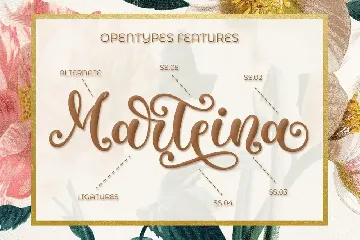 Metafora | Modern Calligraphy font