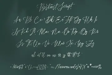 Bestiest Script Lovely Modern Font