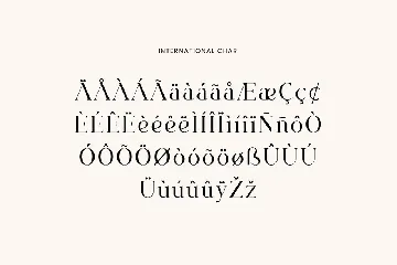 Ignacio Maverick Elegant Serif Font