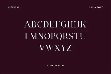 Ignacio Maverick Elegant Serif Font