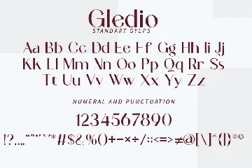 Modern Stylish Serif Font