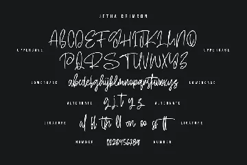 Jetha Crimson Signature Brush Font Typeface