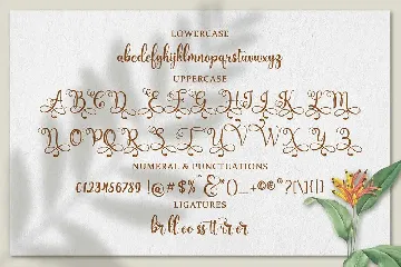 Floristya Script font