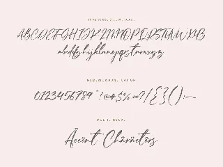 Ferguson Hunter Script Font