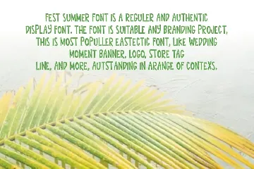 Fest Summer Font