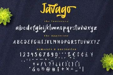 Javago - Handwritten Script Font