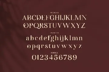 Auralyess - Elegant Serif Font