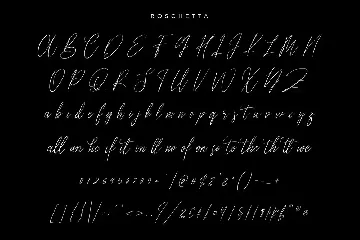 Roschetta Script Handmade Calligraphy Signature font