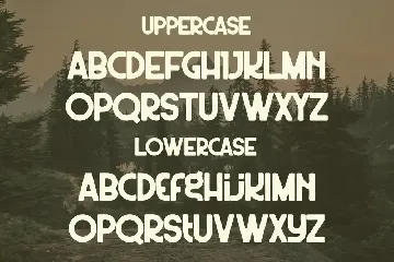 Wildest Font