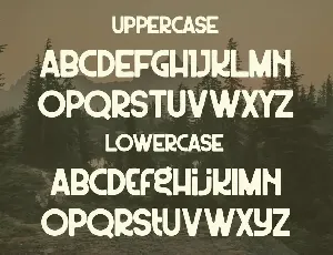 Wildest Font