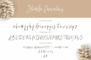 Stadella Signature Script Business Font