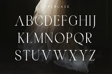 Elegant Luxury Fashion Display Font