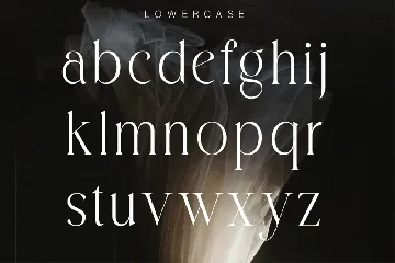 Elegant Luxury Fashion Display Font