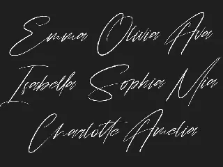 Chintia Slanted Script Brush Handmade Beauty Font