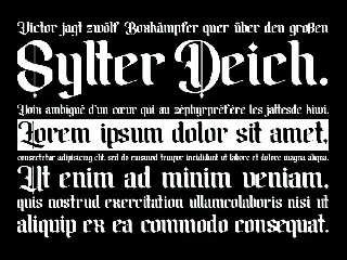 Amika Blackletter Font