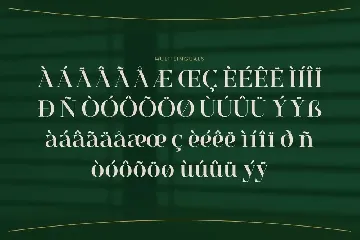 Voguella - Luxury Serif font