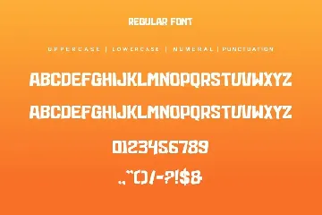 Fancy Summer Font