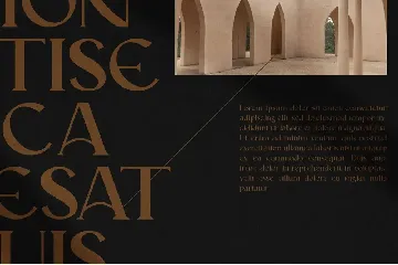 Mariona Serif Font