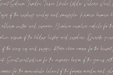 Olioster Elegant Fashion Script Font