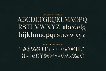 Baguile - Simple Serif Typeface font