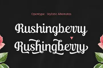 Ralsteda Script font