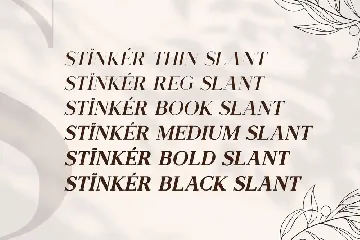 Stinker - Elegant Serif Family font