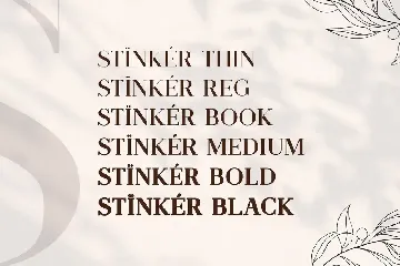 Stinker - Elegant Serif Family font