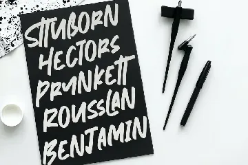 Nymburgh Brush Minimal Display Typeface font