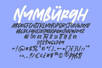 Nymburgh Brush Minimal Display Typeface font