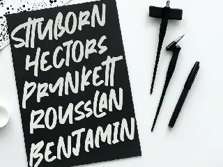 Nymburgh Brush Minimal Display Typeface font