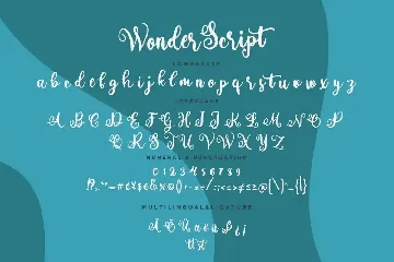 Wonder Script Fun Business Font