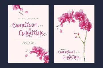 Venoisse - Modern Calligraphy font