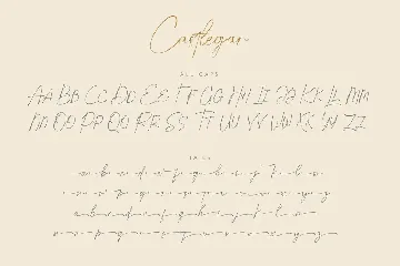 Castlegar Luxury Script font