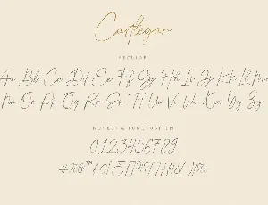 Castlegar Luxury Script font