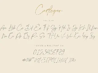 Castlegar Luxury Script font